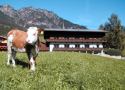 Rakousko, Tyrolsko